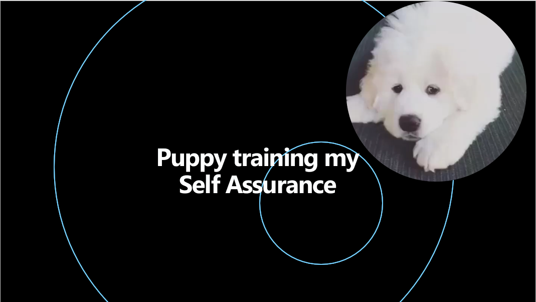 Puppy training strengths