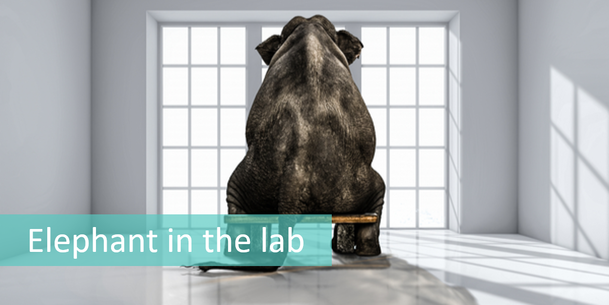 Elephant in the lab