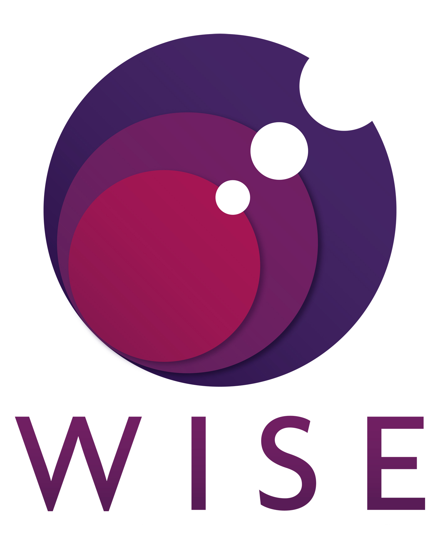 WISE logo partial text high res